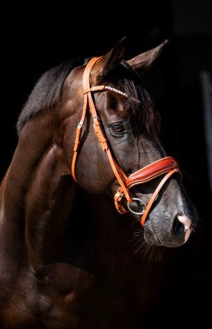 HB - bridon Ulani cognac