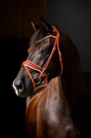 HB - bridon Ulani cognac