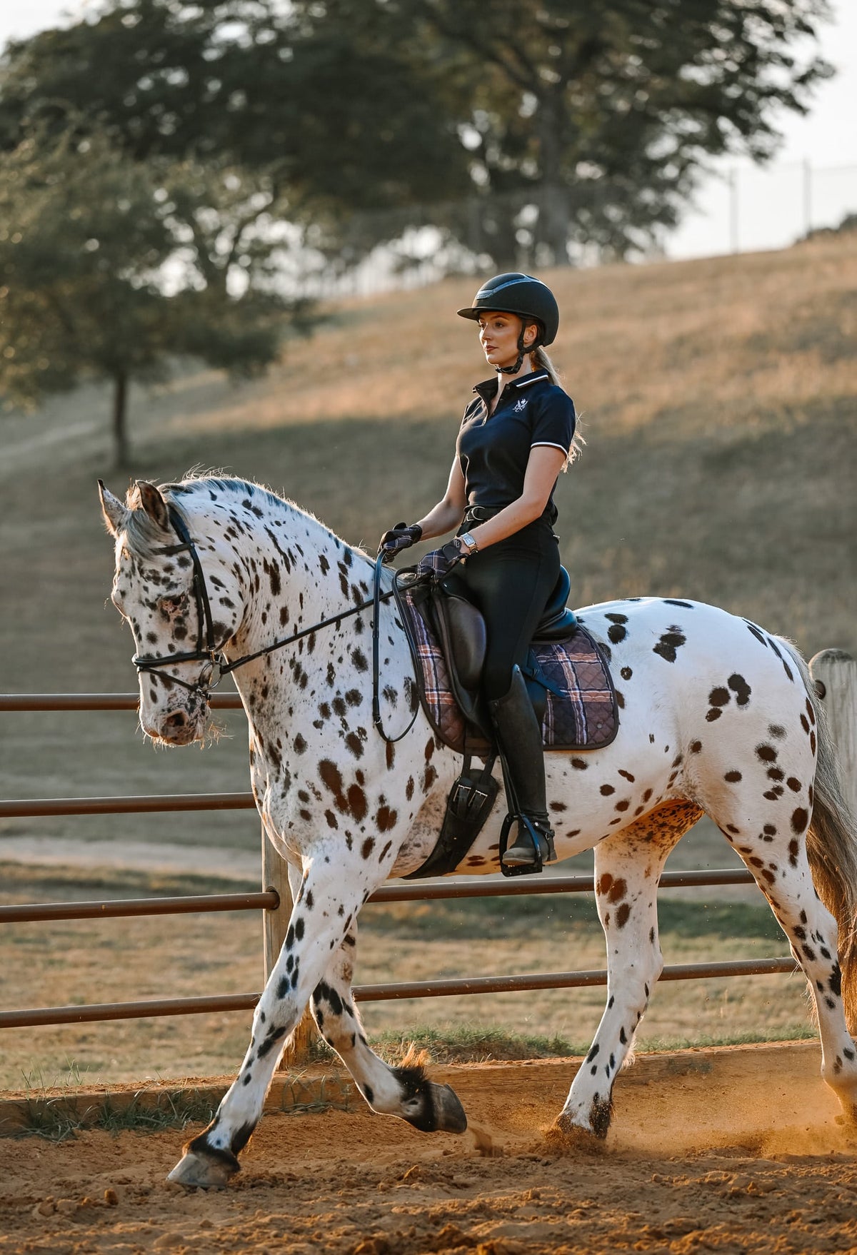 16C Tapis de dressage Heritage Check, respirant, évacue l'humidité, bordure en cuir végan