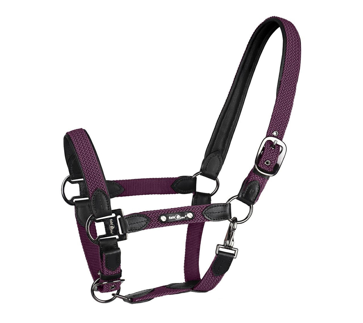 Licol Fair Play STRIX – Prune