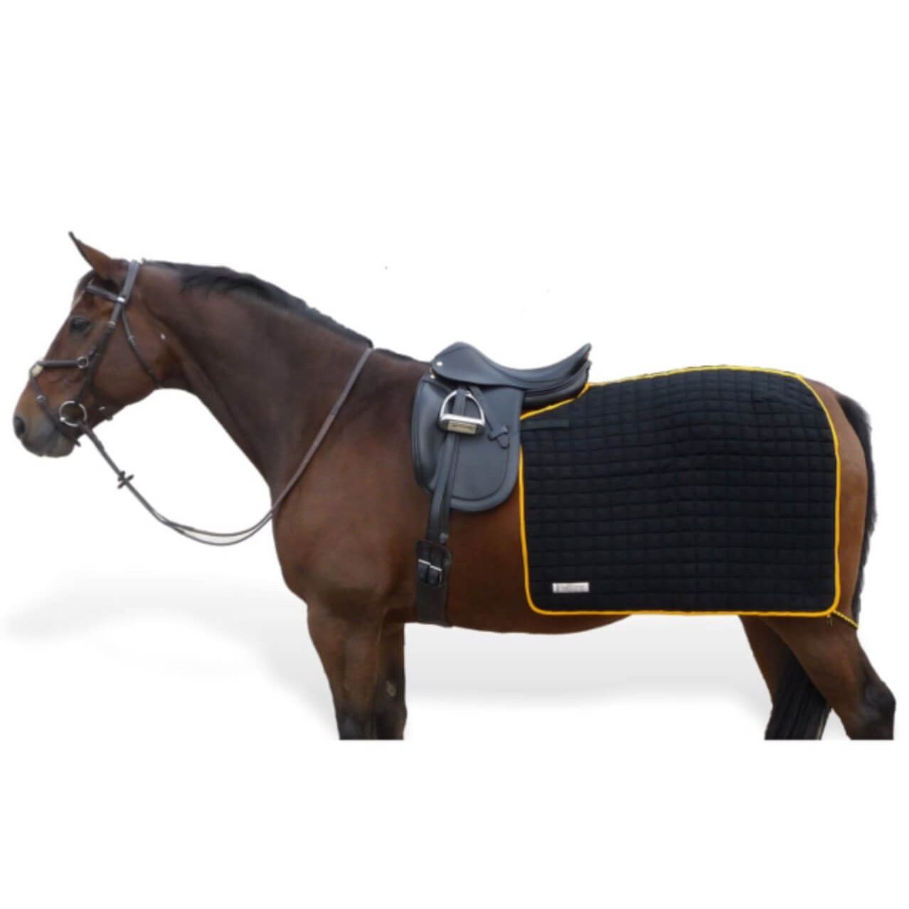 THERMATEX - Couvre reins quarter *personnalisable*