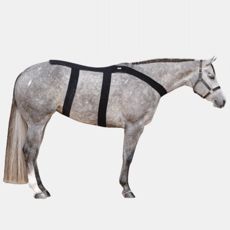 Ice Horse Back Blanket, 10 inserts froids inclus, couverture de cryothérapie ciblée pour le dos, le garrot et la zone sacro-iliaque