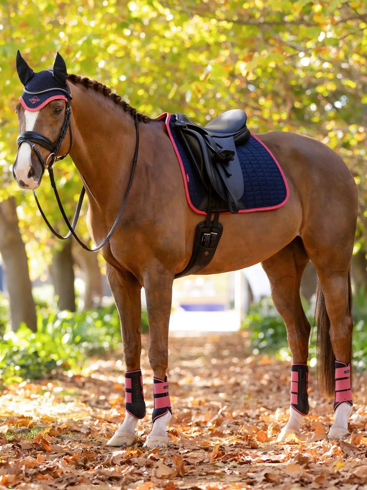 Tapis de dressage Square en suédine - 20 coloris