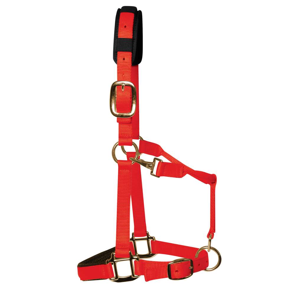 KM Elite Licol rembourré de luxe, rouge, qualité supérieure