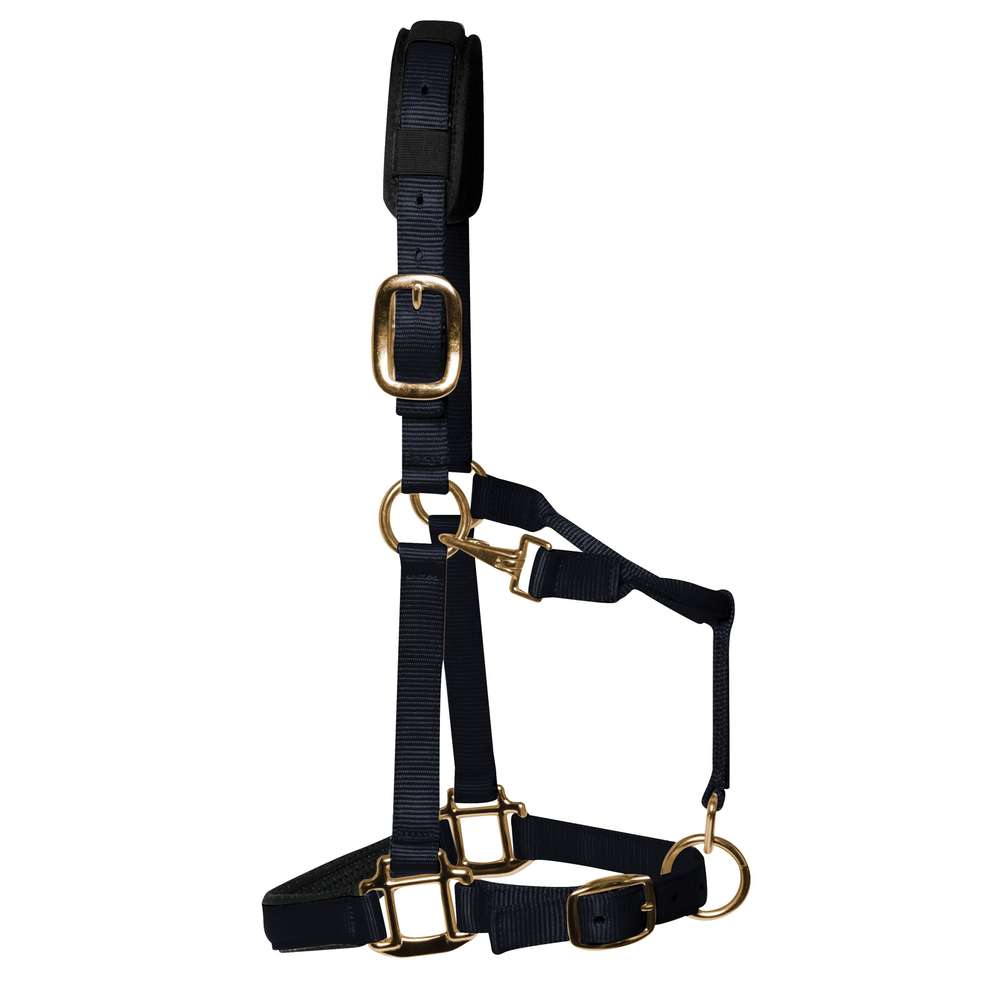 KM Elite Licol rembourré de luxe, noir, qualité supérieure