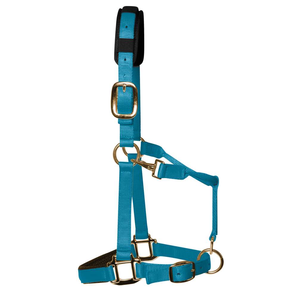 KM Elite Licol rembourré de luxe, bleu-vert, qualité supérieure