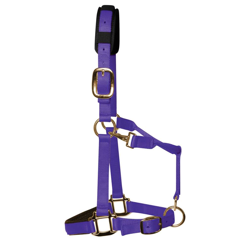 KM Elite Licol rembourré de luxe, violet, qualité supérieure