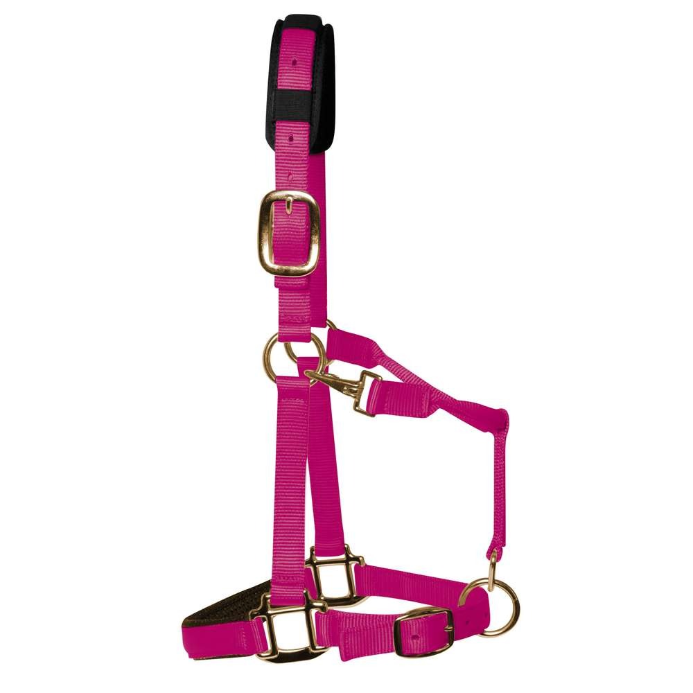 KM Elite Licol rembourré de luxe, framboise, qualité supérieure