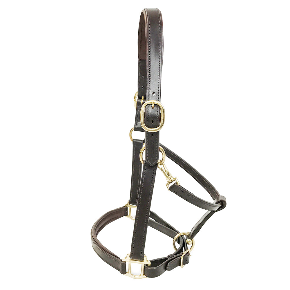 KM Elite Licol en cuir rembourré Havana, finition de luxe, entièrement réglable