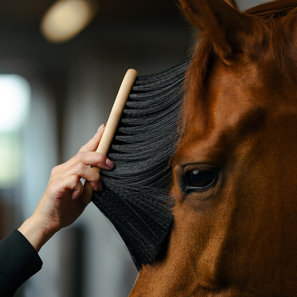Borstiq Brosse à main à fibres PP souples, élimine la poussière, apporte de la brillance