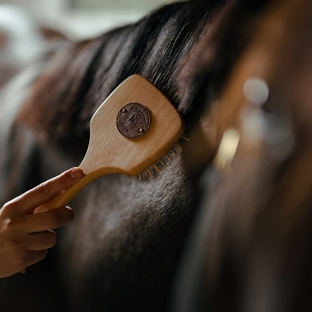 Borstiq Brosse-peigne à crinière et à queue avec plaque en caoutchouc antistatique, démêlage, antistatique
