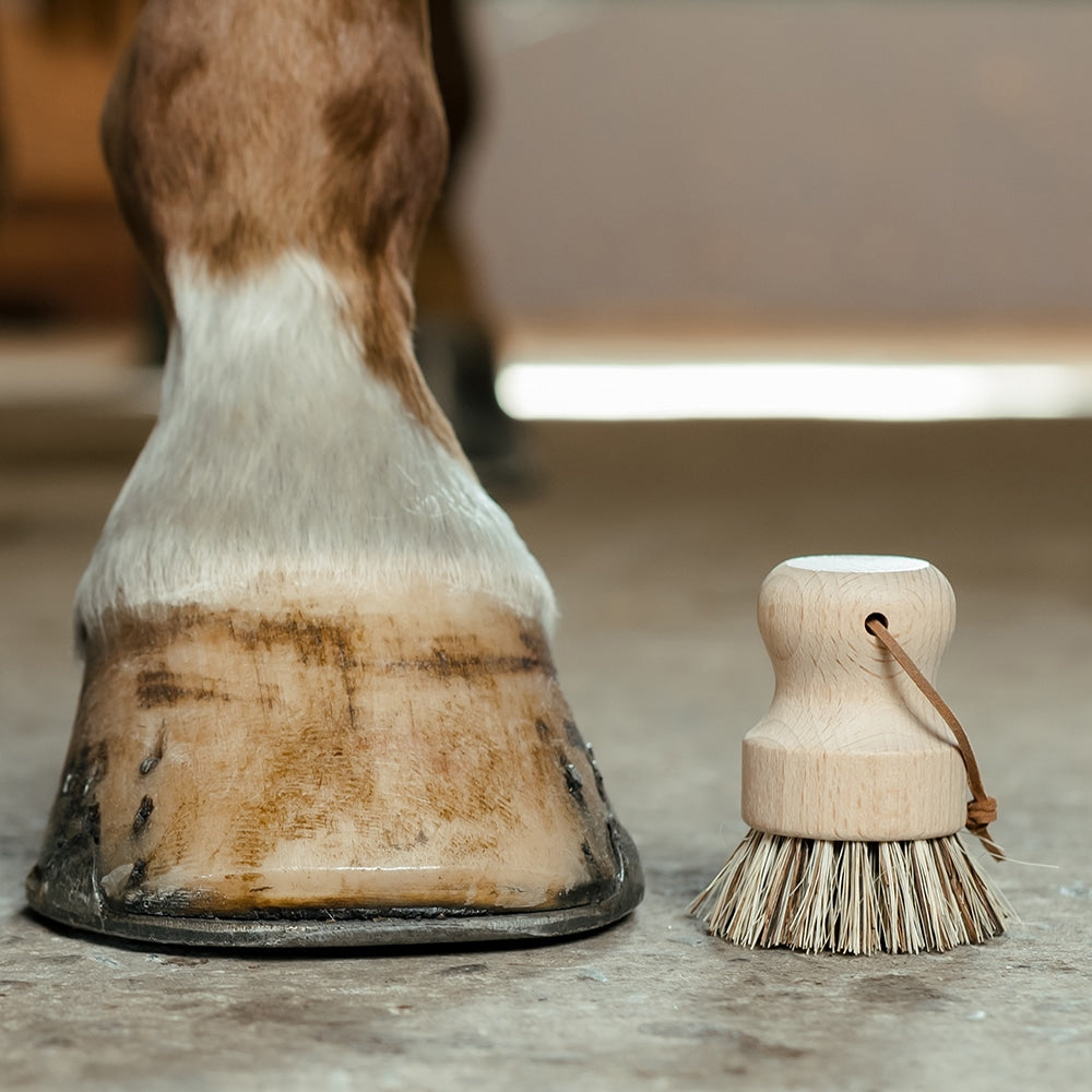 Borstiq Brosse à sabots ronde Unionmix avec poignée en cuir, nettoyage des sabots, élimine les saletés tenaces