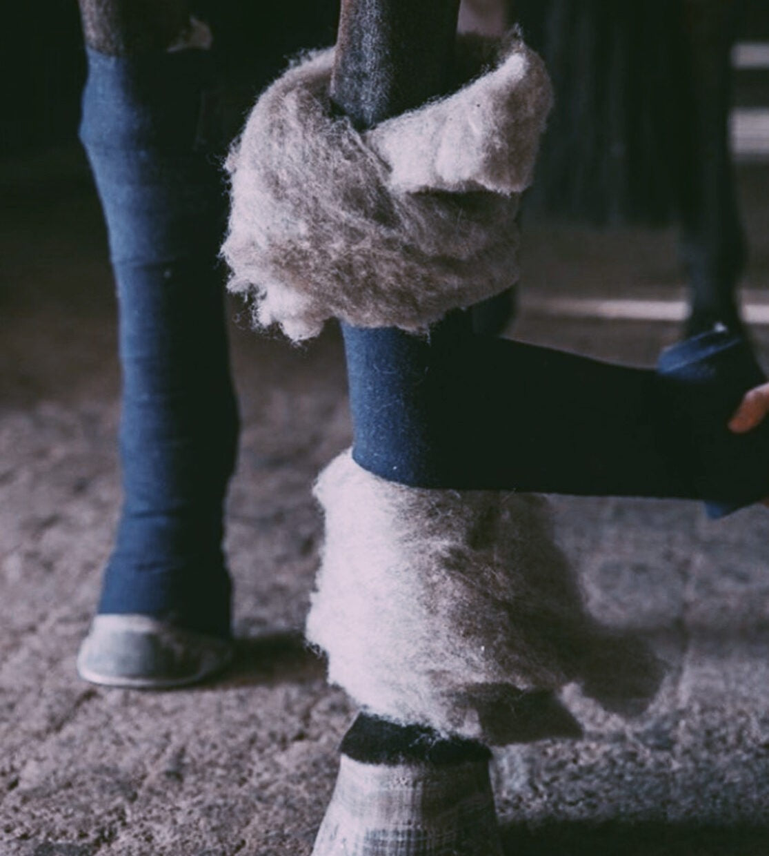 Estrelle - sous bandes laine 100%