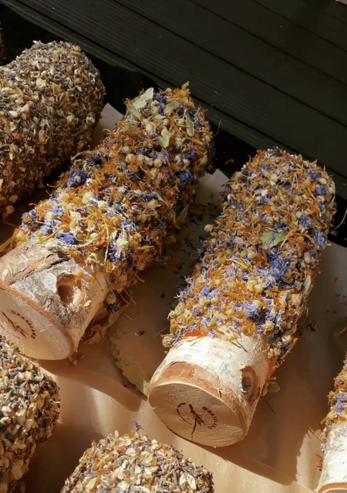 Grassland - bouleau colorfull flower