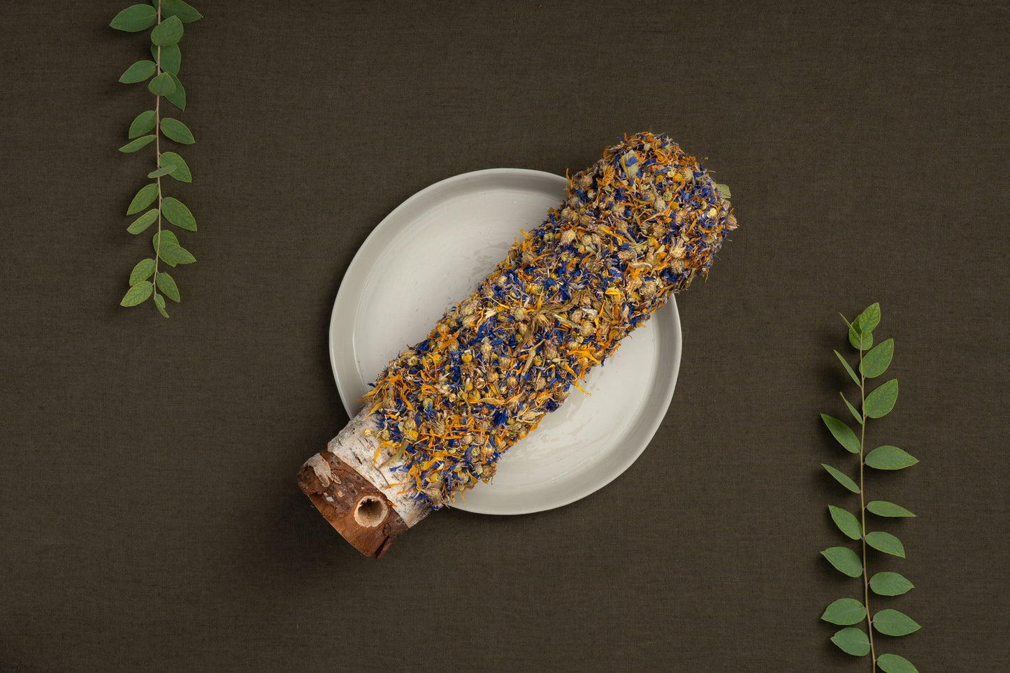 Grassland - bouleau colorfull flower