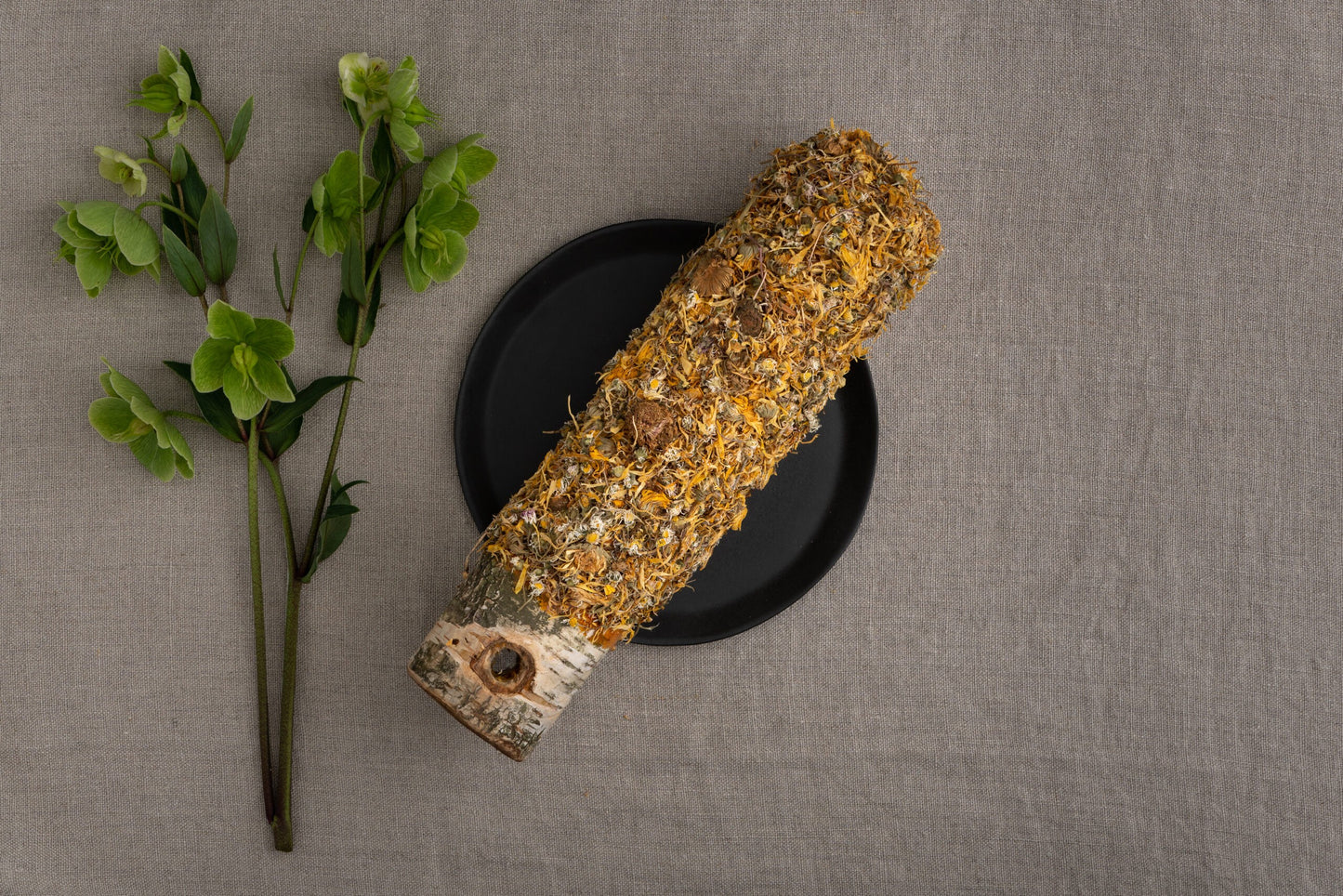 Grassland - bouleau balance flower gastro