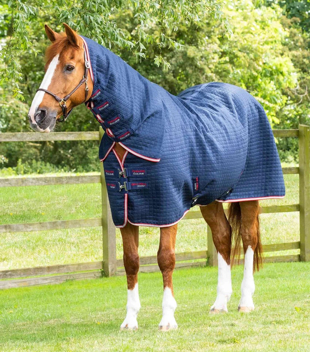 Premier equine - couverture dry tech cooler