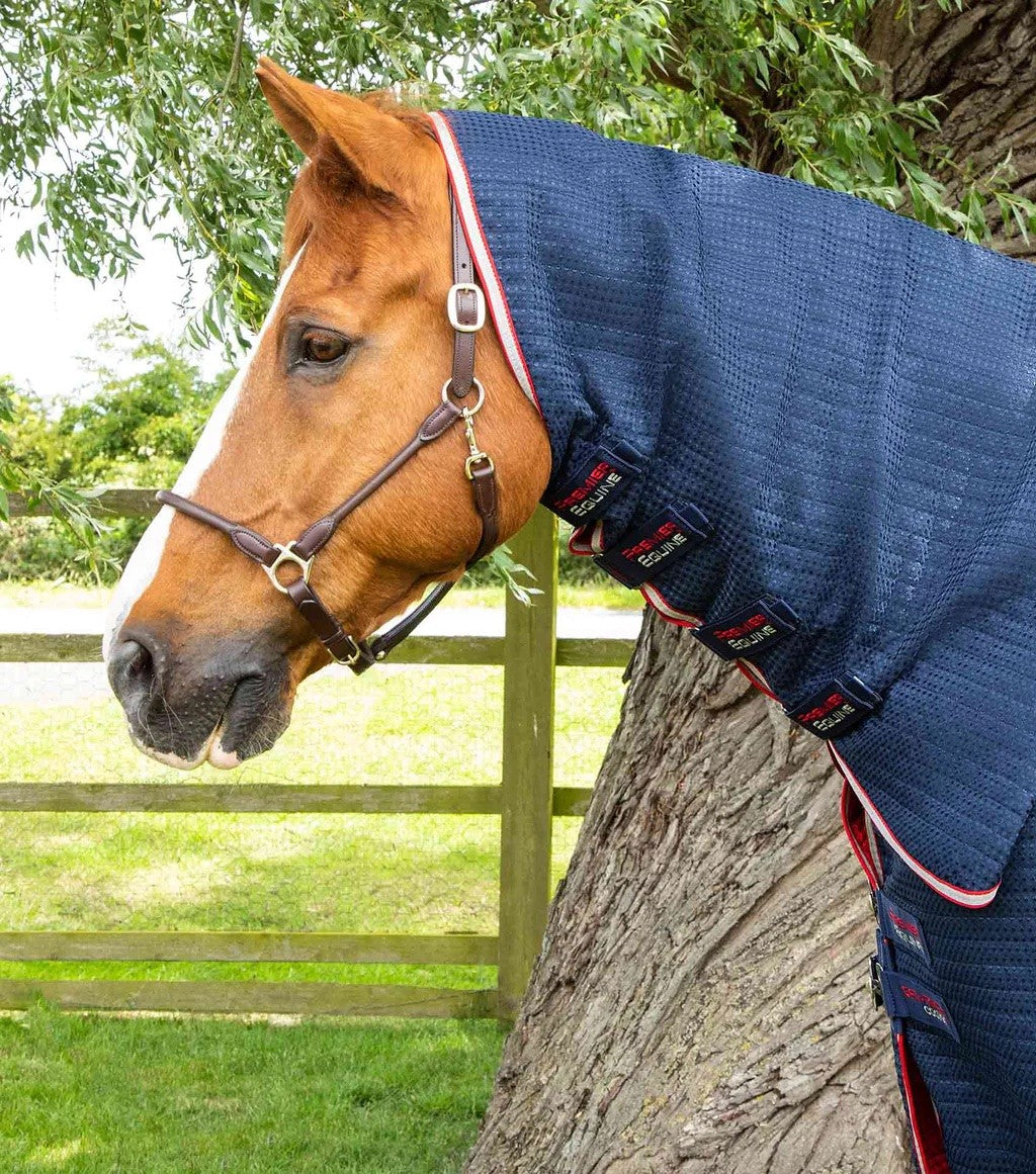 Premier equine - couverture dry tech cooler