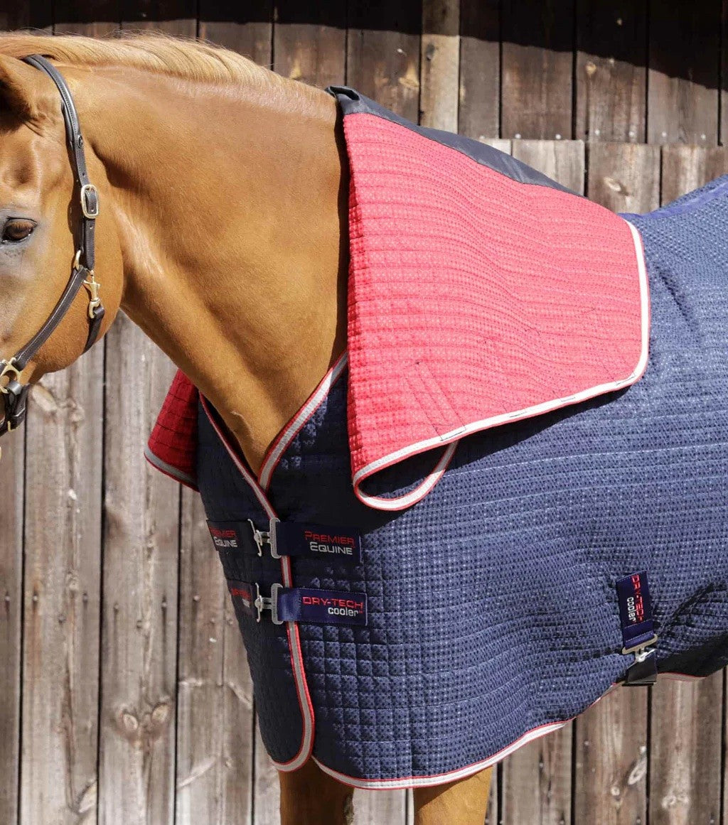 Premier equine - couverture dry tech cooler