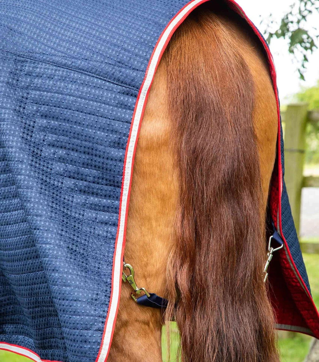 Premier equine - couverture dry tech cooler