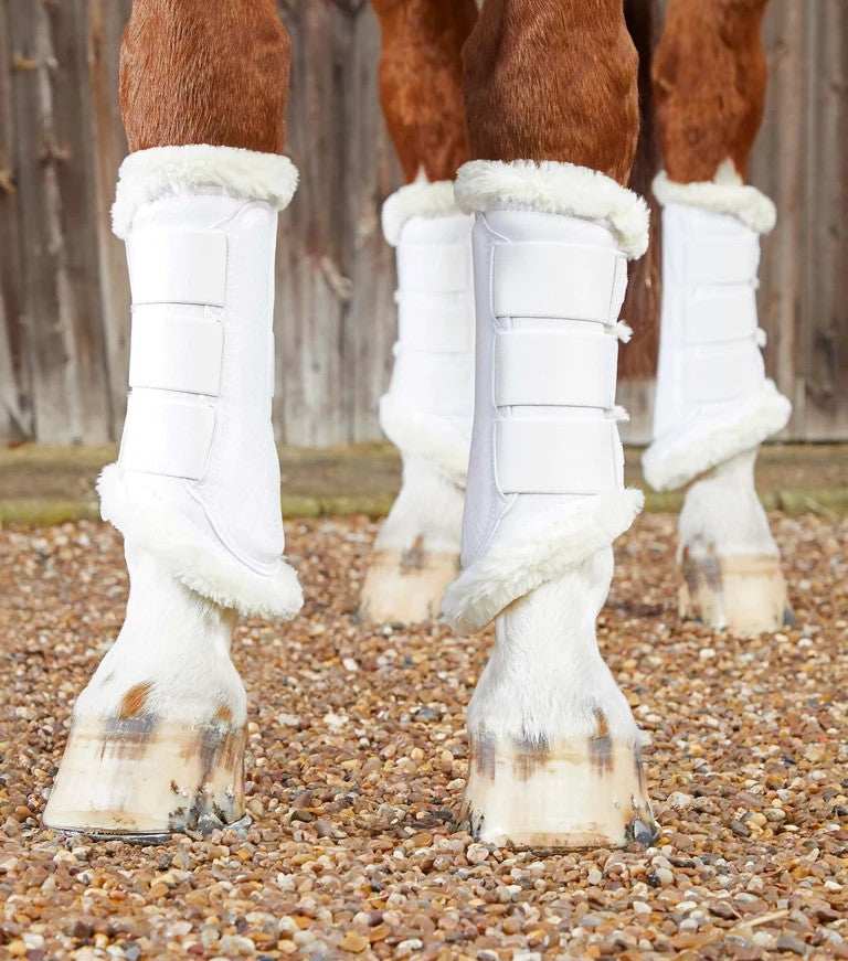 Premier equine - Guetres techno wool - blanc