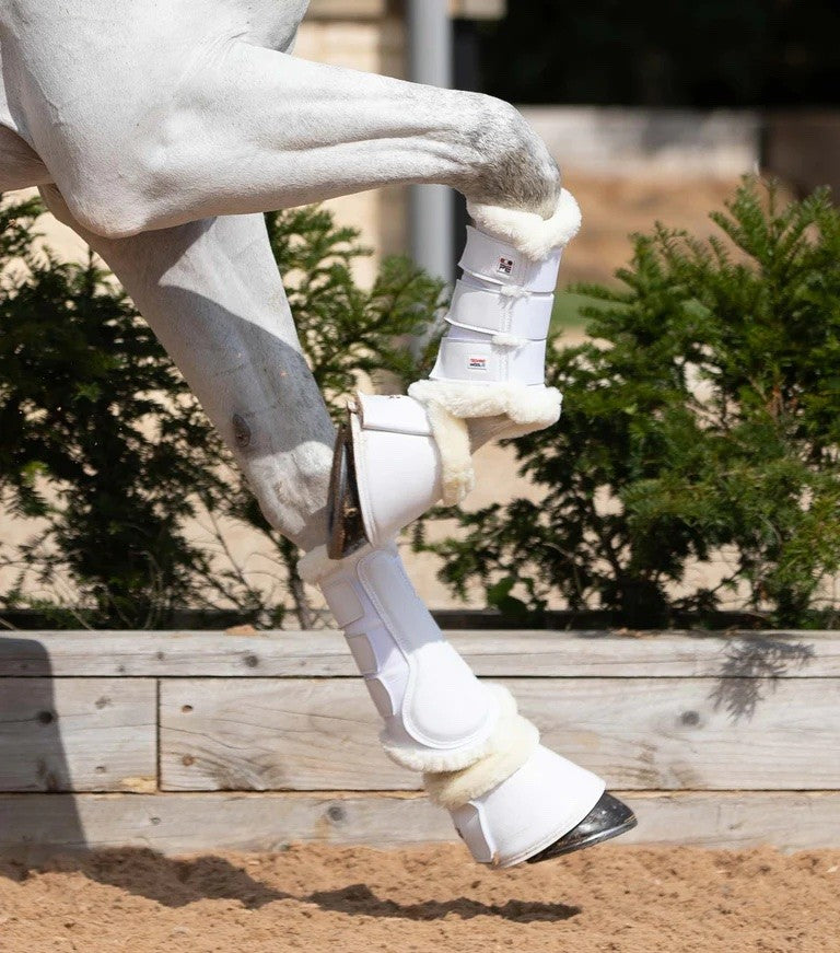 Premier equine - Guetres techno wool - blanc