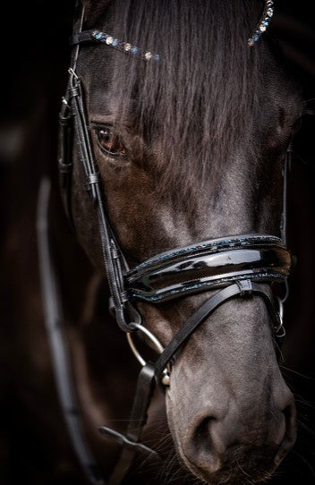 HB - bridon Evalira -  strass bleu