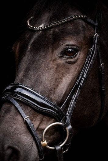 HB - bridon Evalira - strass noir