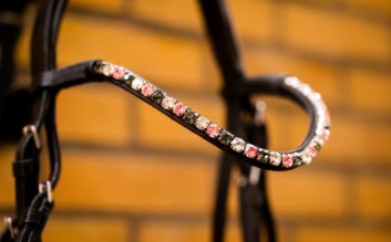 HB - bridon Evalira - strass rose