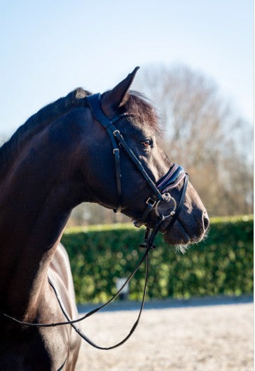 HB - bridon Evalira - strass rose