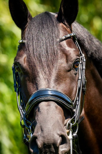 HB - bride special for you - strass gris