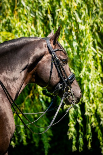 HB - bride special for you - strass gris