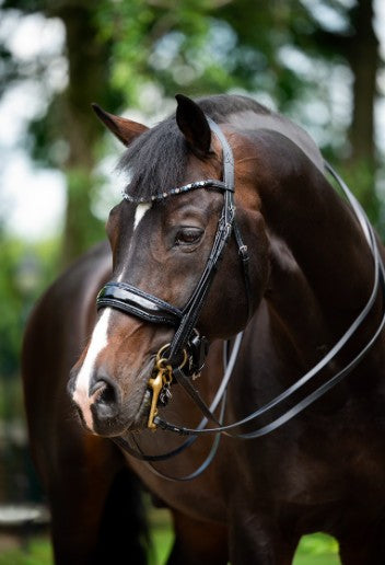 HB - bride special for you - strass bleu