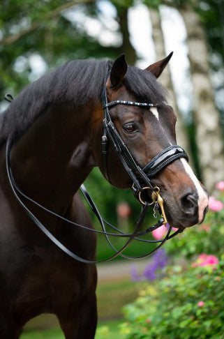 HB - bride special for you - strass bleu