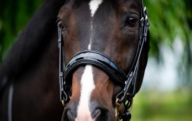 HB - bride special for you - strass noir