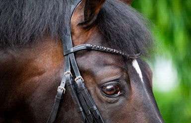 HB - bride special for you - strass noir