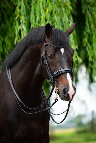 HB - bride special for you - strass noir