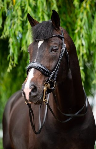 HB - bride special for you - strass noir