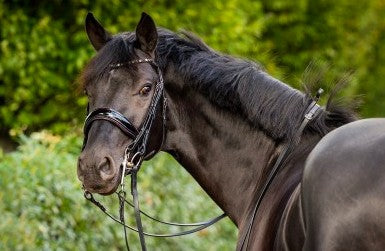 HB - bride special for you - strass bordeaux