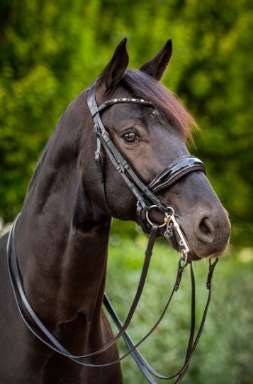 HB - bride special for you - strass bordeaux