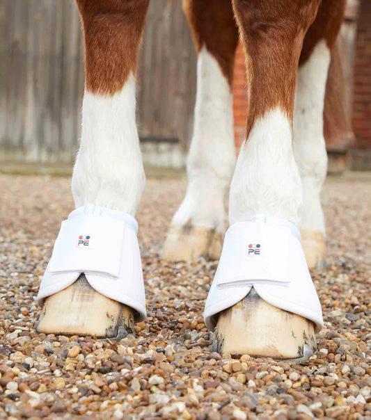 Premier equine - Cloches carbon - blanc