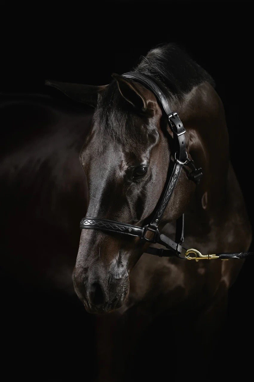 Mrs Ros - licol diamond deluxe movie star - noir