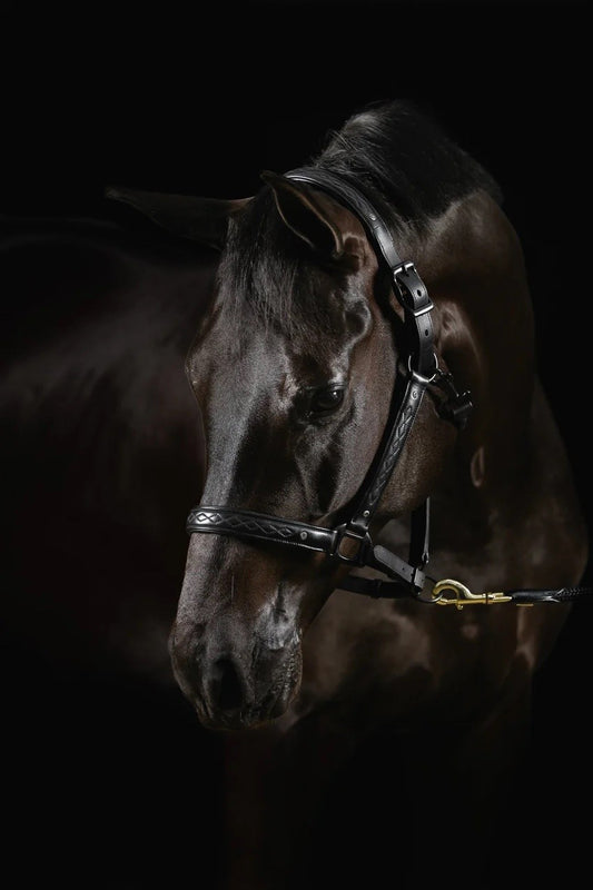 Mrs Ros - licol diamond deluxe movie star - noir