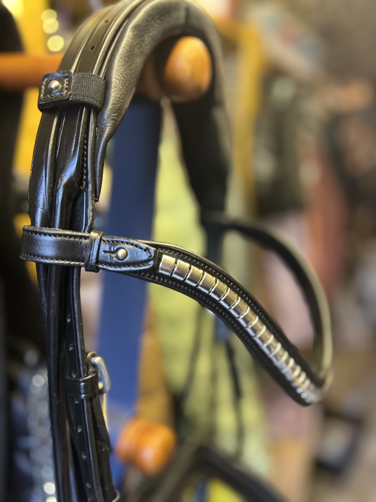 Utzon Equestrian - Bridon Olympic