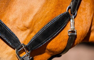 HB - Licol velvet cuir et strass - 3 coloris