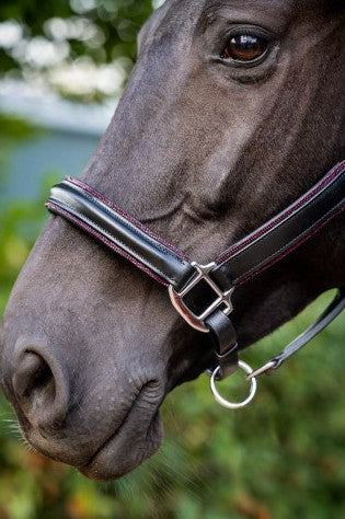 HB - Licol cuir noir strass - 3 coloris