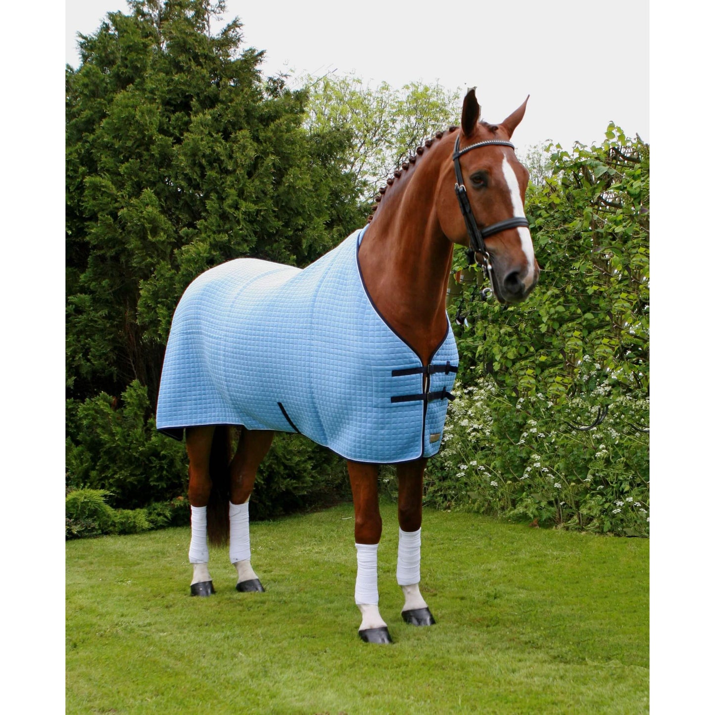 THERMATEX - Couverture classique en laine *personnalisable*