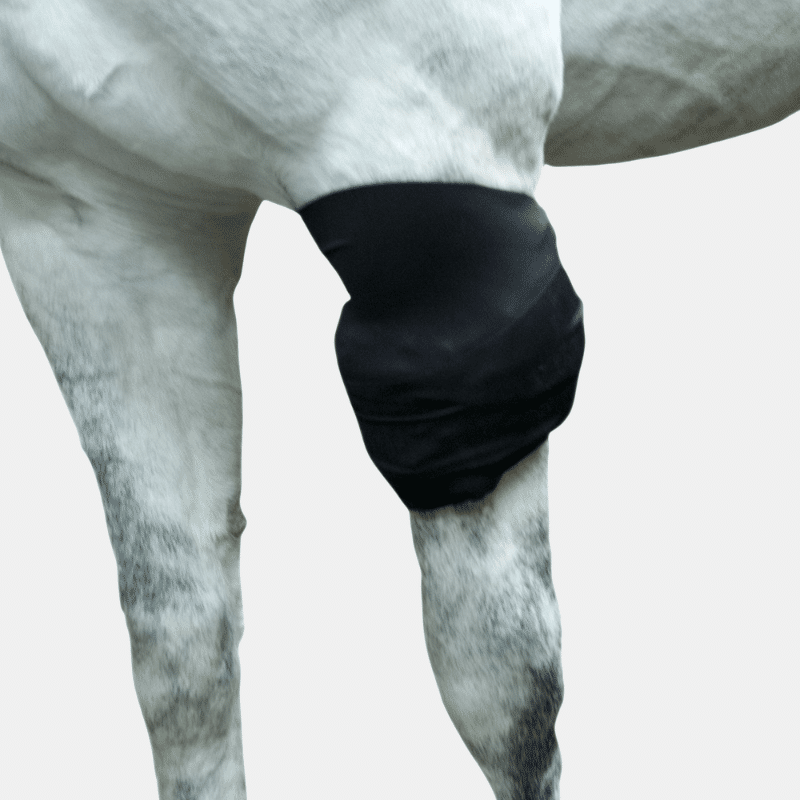 All-Purpose Ice Wrap, 2 inserts froids inclus, enveloppe de cryothérapie polyvalente, pour les zones difficiles à refroidir