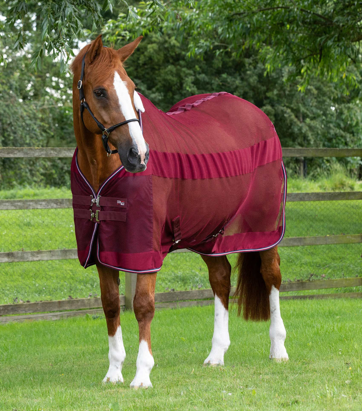 Arisca chemise séchante légère