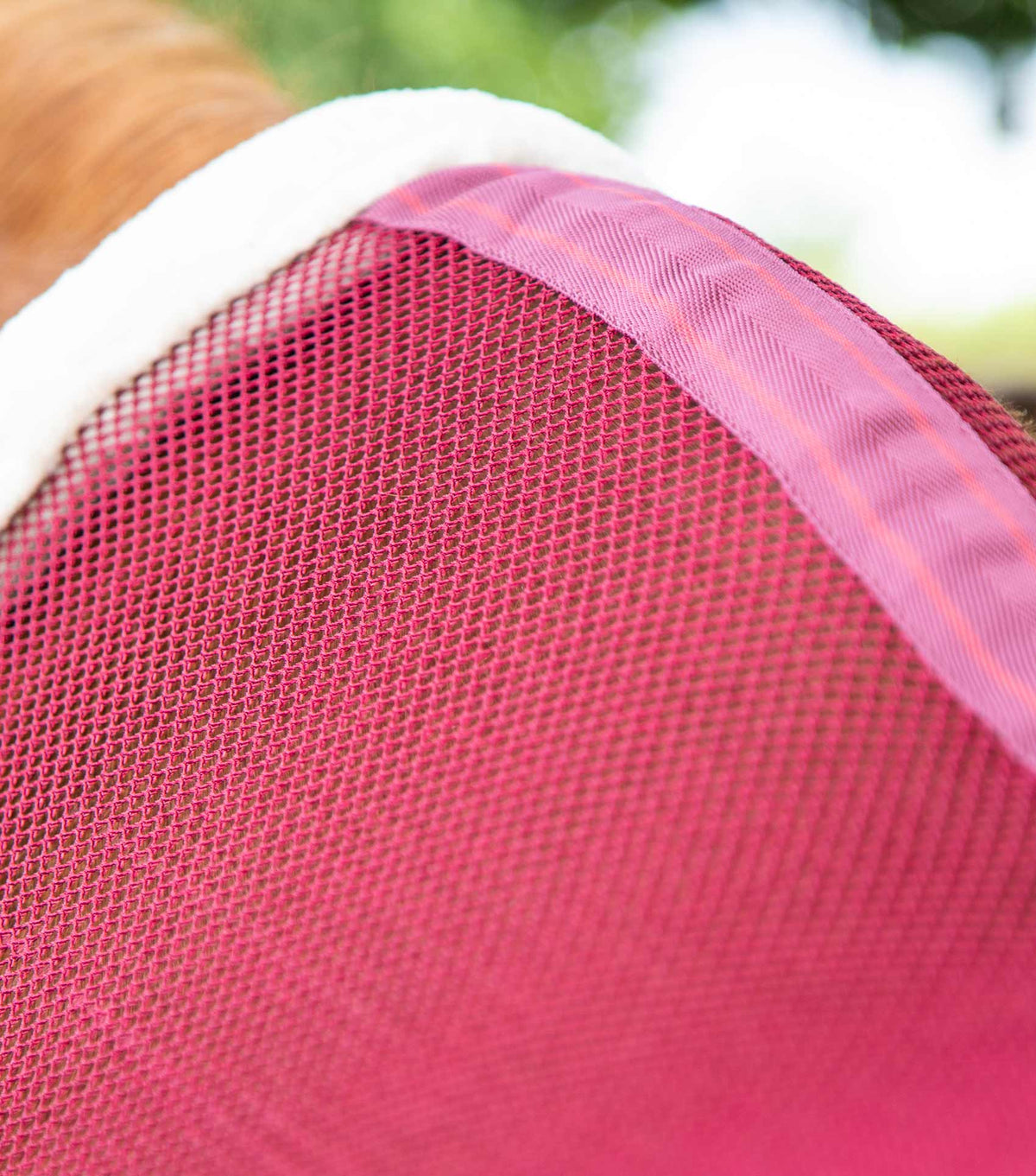 Arisca chemise séchante légère